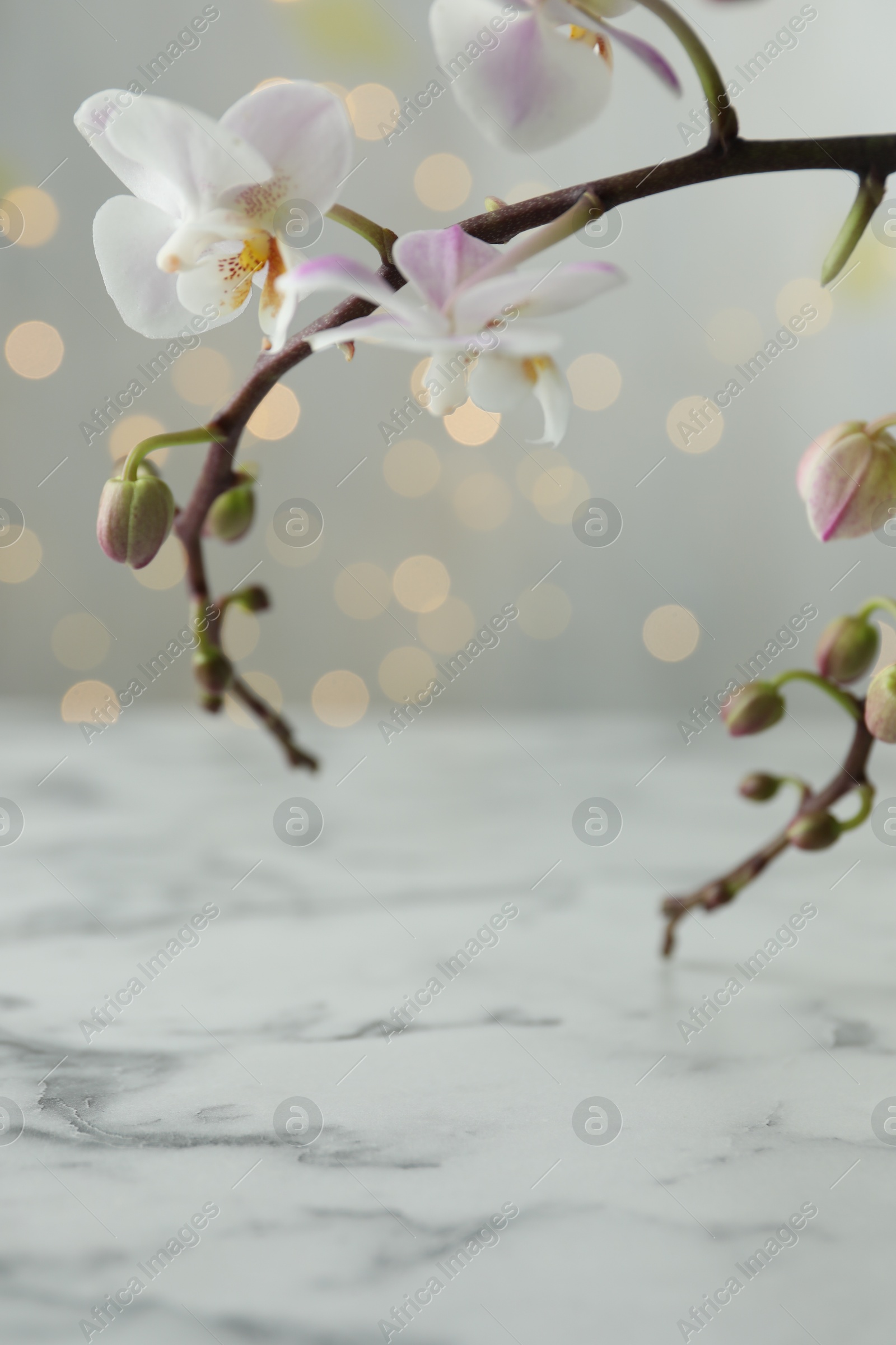 Photo of Beautiful orchid branch over white marble table against blurred lights, closeup