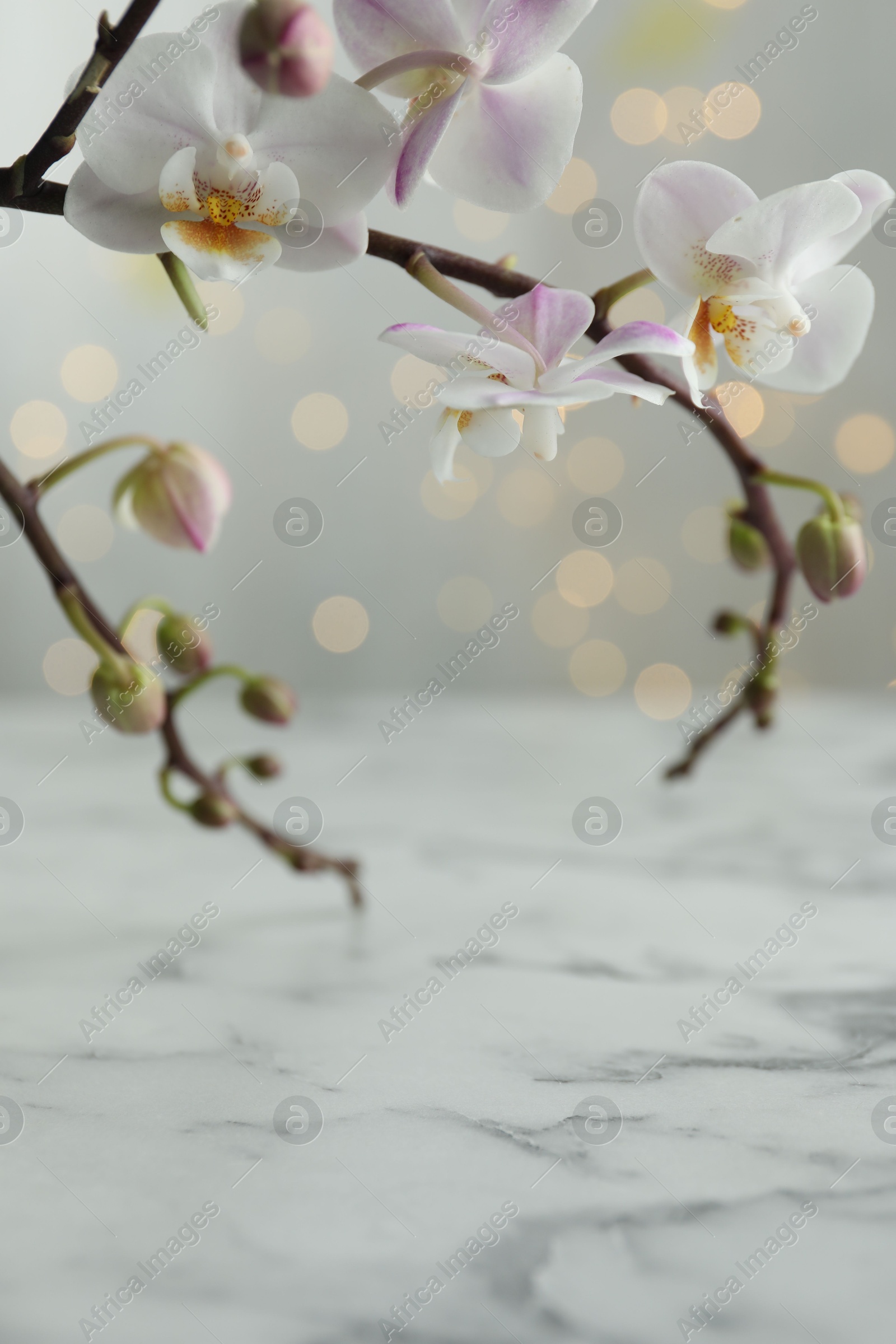 Photo of Beautiful orchid branch over white marble table against blurred lights, closeup