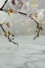 Beautiful orchid branch over white marble table against blurred lights, closeup