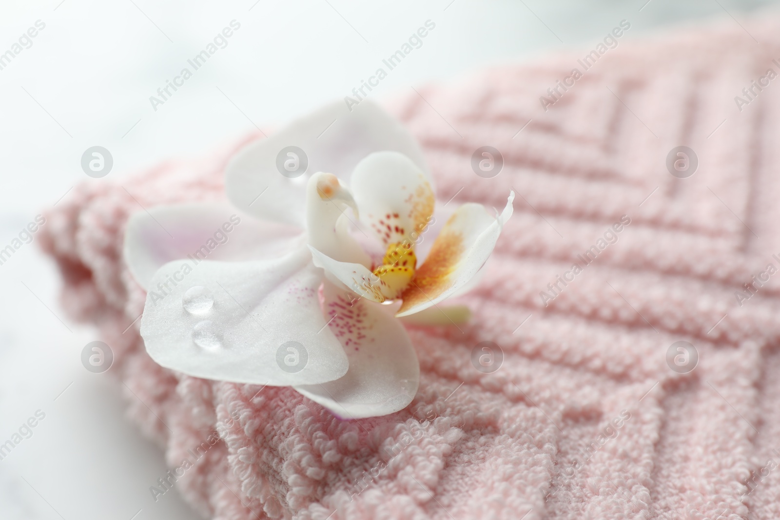 Photo of Orchid flower and towel on white marble table, closeup