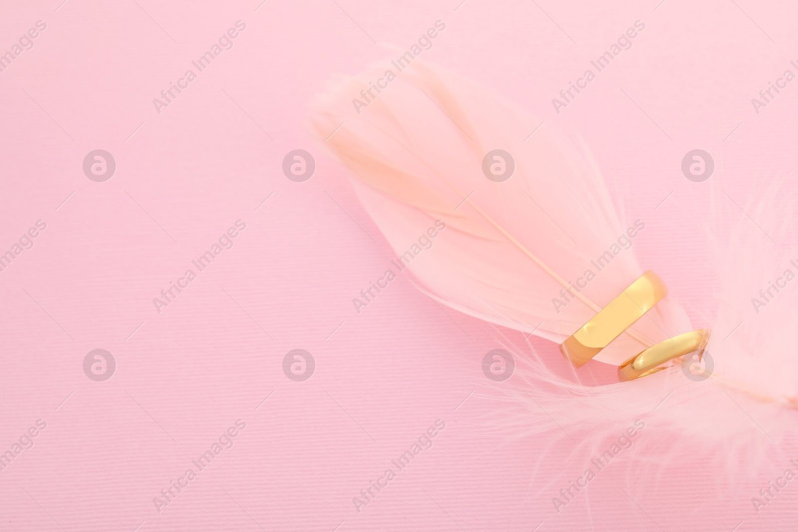 Photo of Beautiful golden wedding rings and feather on pink background, top view. Space for text