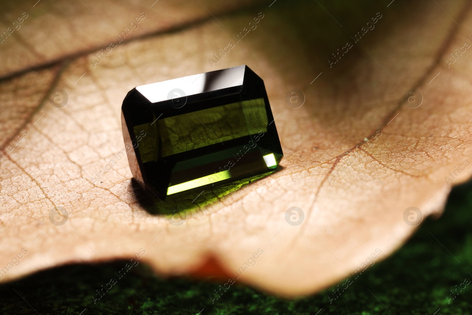 Photo of Shiny green gemstone on dry leaf, closeup