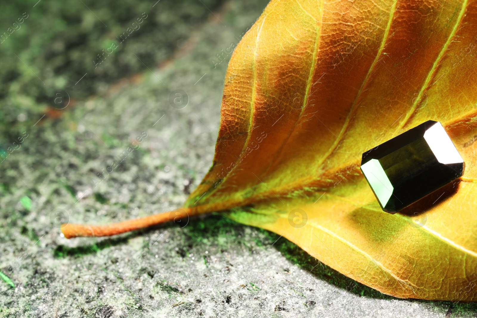 Photo of Shiny green gemstone and dry leaf on stone, closeup