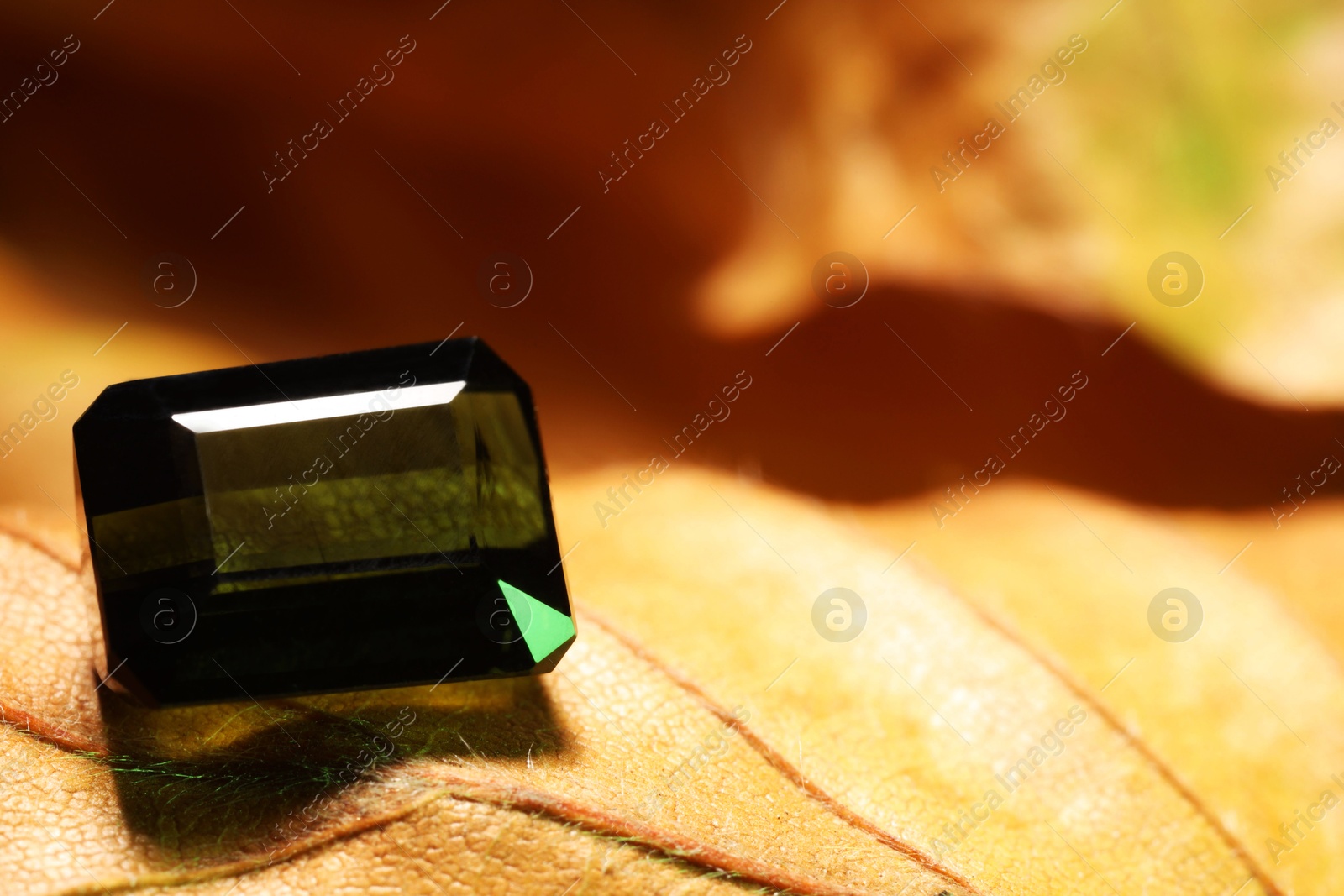 Photo of Shiny green gemstone on dry leaf, closeup. Space for text