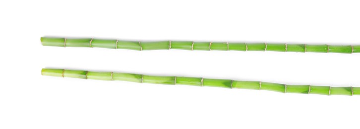 Stems of decorative bamboo plant isolated on white, top view