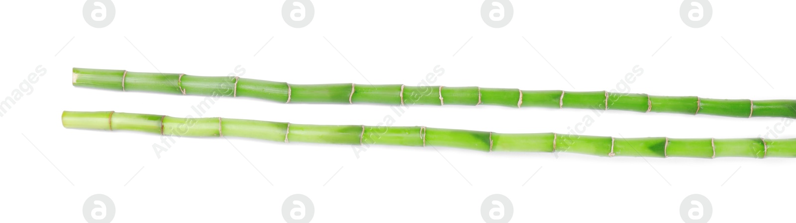 Photo of Stems of decorative bamboo plant isolated on white, top view