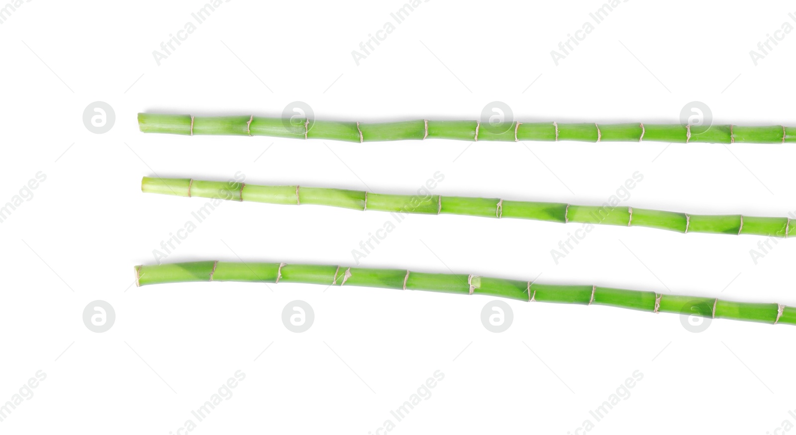 Photo of Stems of decorative bamboo plant isolated on white, top view