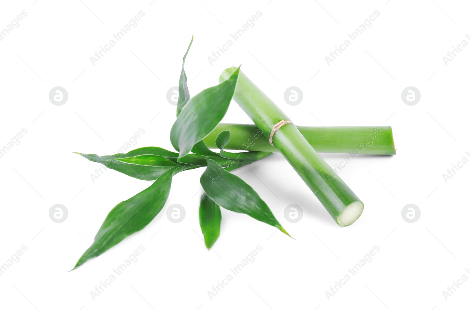 Photo of Pieces of decorative bamboo plant and green leaves isolated on white