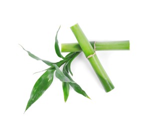 Pieces of decorative bamboo plant and green leaves isolated on white, top view