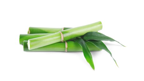 Pieces of decorative bamboo plant and green leaves isolated on white