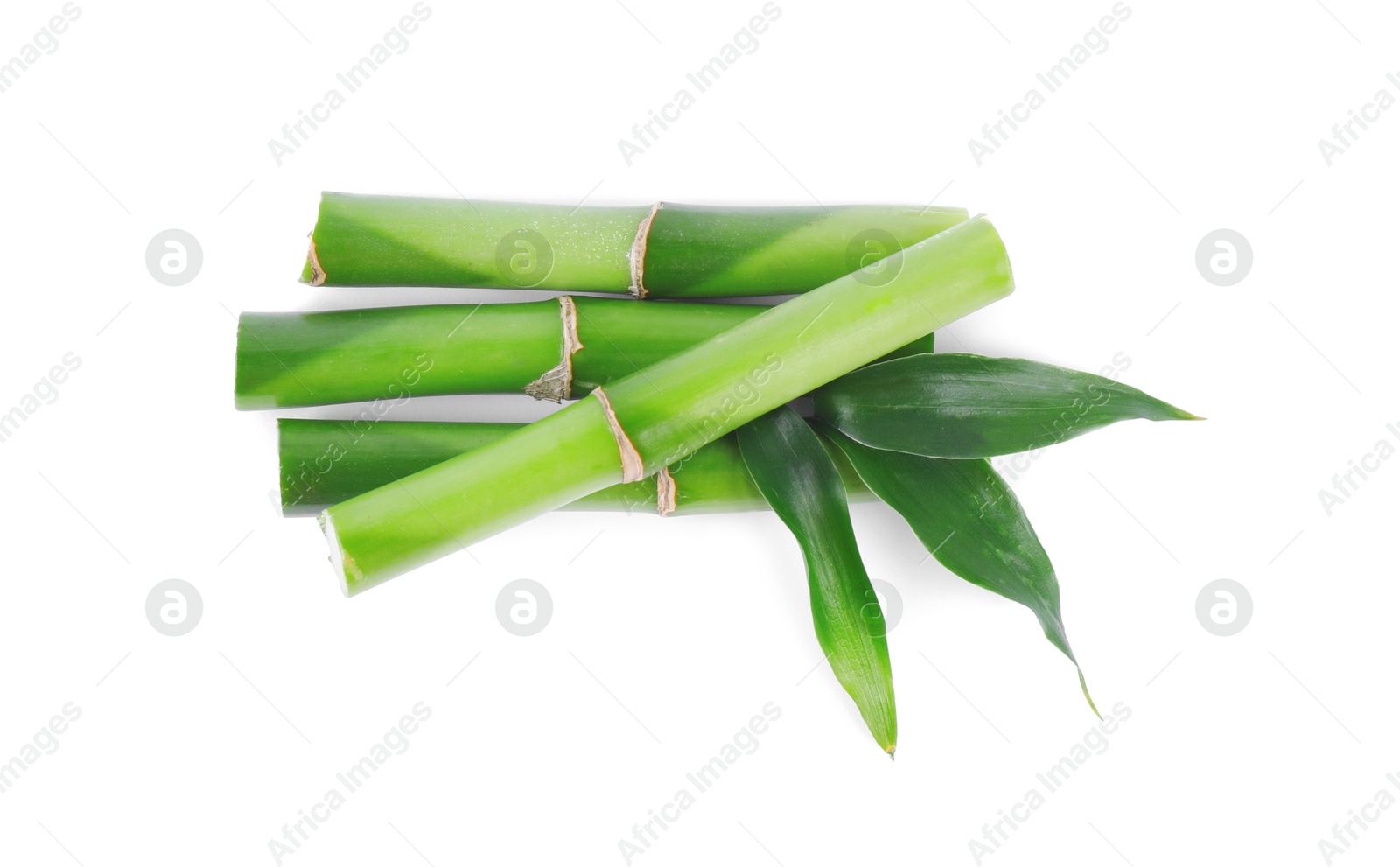 Photo of Pieces of decorative bamboo plant and green leaves isolated on white, top view