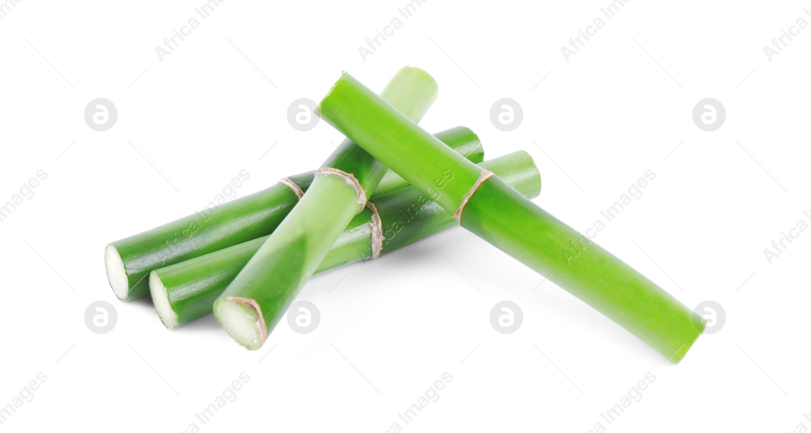 Photo of Pieces of decorative bamboo plant isolated on white