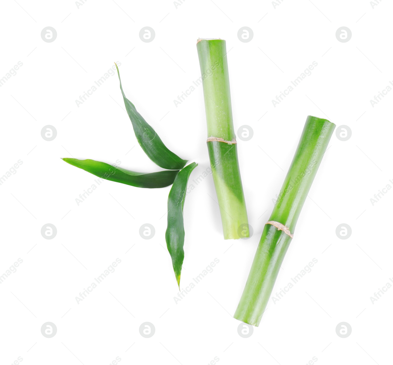 Photo of Pieces of decorative bamboo plant and green leaves isolated on white, top view