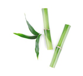 Pieces of decorative bamboo plant and green leaves isolated on white, top view