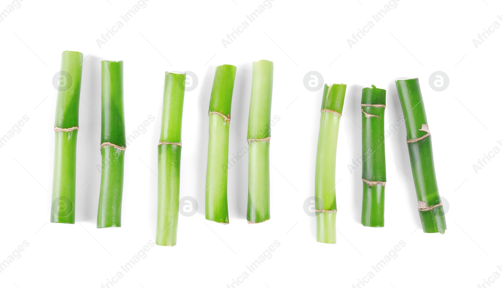 Photo of Pieces of decorative bamboo plant isolated on white, top view