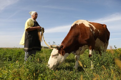 Senior woman with beautiful cow on pasture