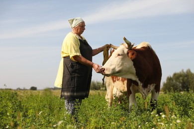 Senior woman with beautiful cow on pasture