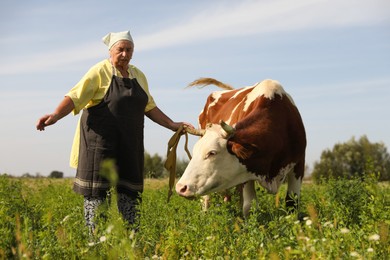 Photo of Senior woman with beautiful cow on pasture