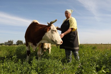 Senior woman with beautiful cow on pasture