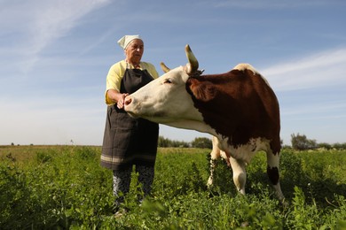 Photo of Senior woman with beautiful cow on pasture