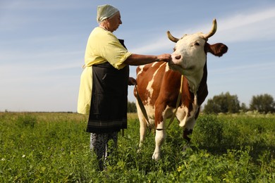 Senior woman with beautiful cow on pasture