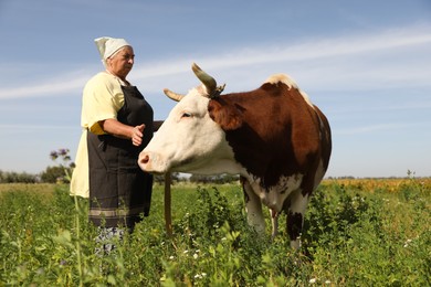 Photo of Senior woman with beautiful cow on pasture