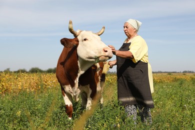 Senior woman with beautiful cow on pasture