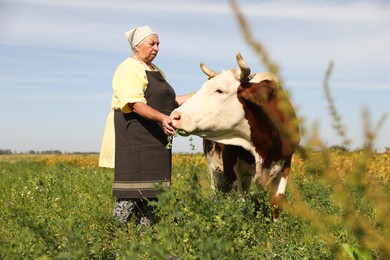 Photo of Senior woman with beautiful cow on pasture