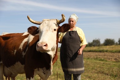 Photo of Senior woman with beautiful cow on pasture