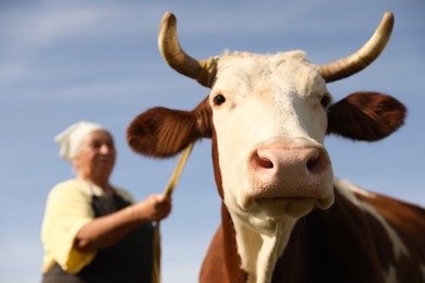 Photo of Senior woman with beautiful cow under blue sky, selective focus