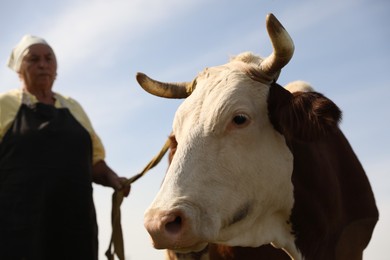 Photo of Senior woman with beautiful cow under blue sky, selective focus