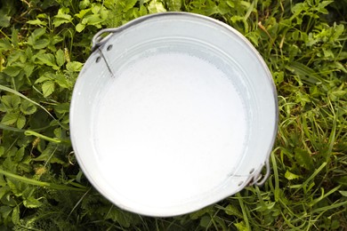 Fresh milk in metal bucket on green grass outdoors, top view