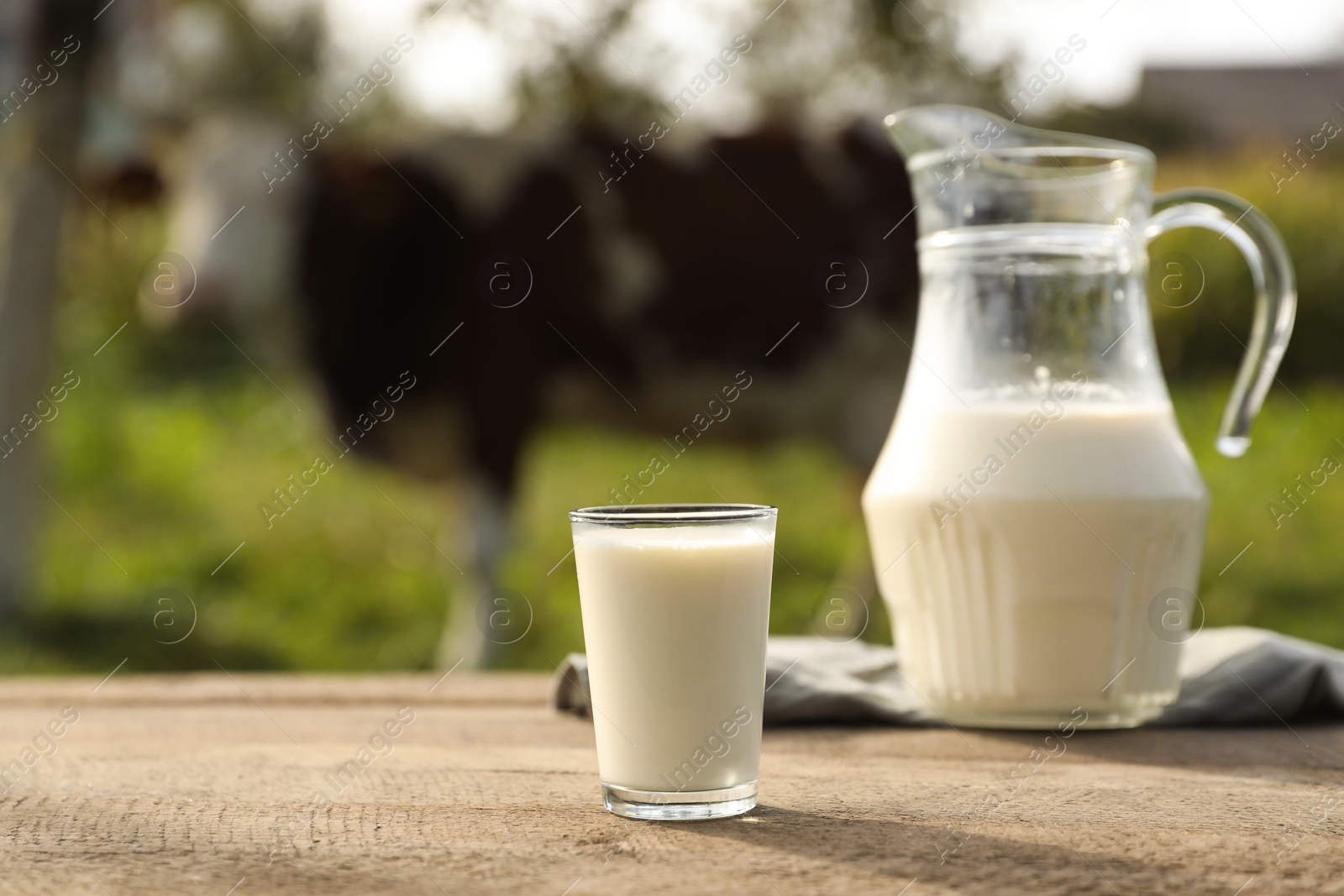 Photo of Fresh milk in jug and glass on wooden table outdoors