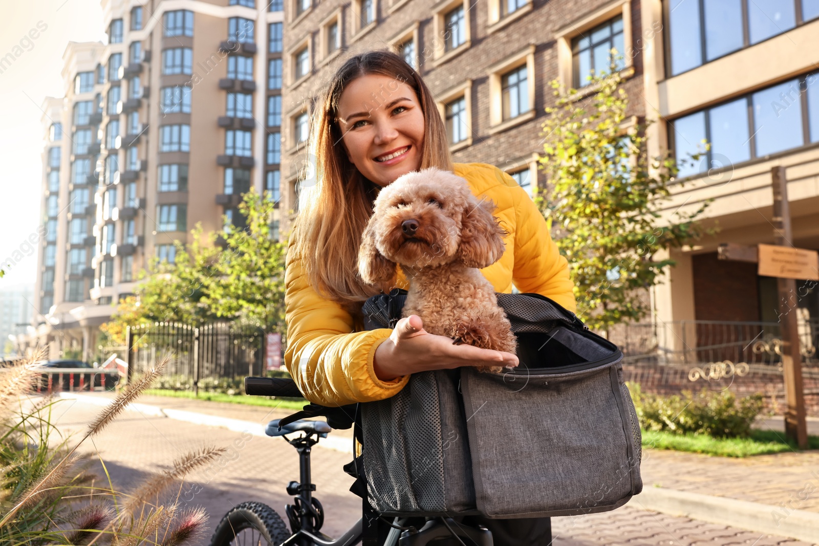 Photo of Woman with bicycle and cute Toy Poodle dog in pet carrier outdoors