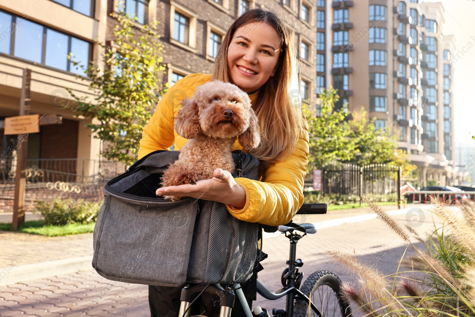 Photo of Woman with bicycle and cute Toy Poodle dog in pet carrier outdoors