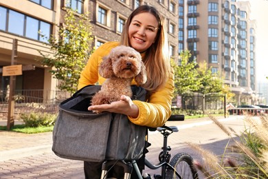 Photo of Woman with bicycle and cute Toy Poodle dog in pet carrier outdoors