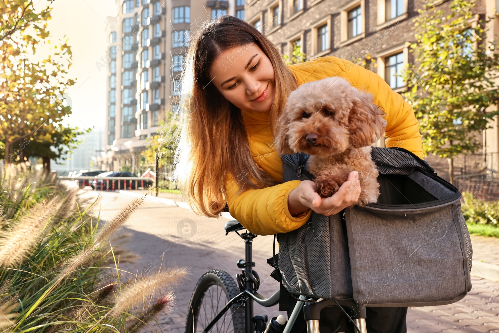 Photo of Woman with bicycle and cute Toy Poodle dog in pet carrier outdoors