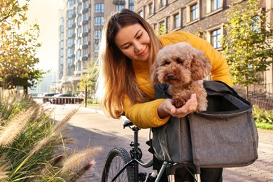 Woman with bicycle and cute Toy Poodle dog in pet carrier outdoors