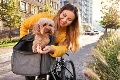 Woman with bicycle and cute Toy Poodle dog in pet carrier outdoors