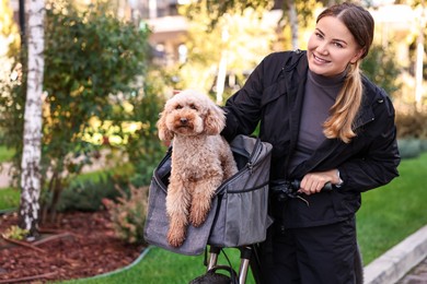 Woman with bicycle and cute Toy Poodle dog in pet carrier outdoors