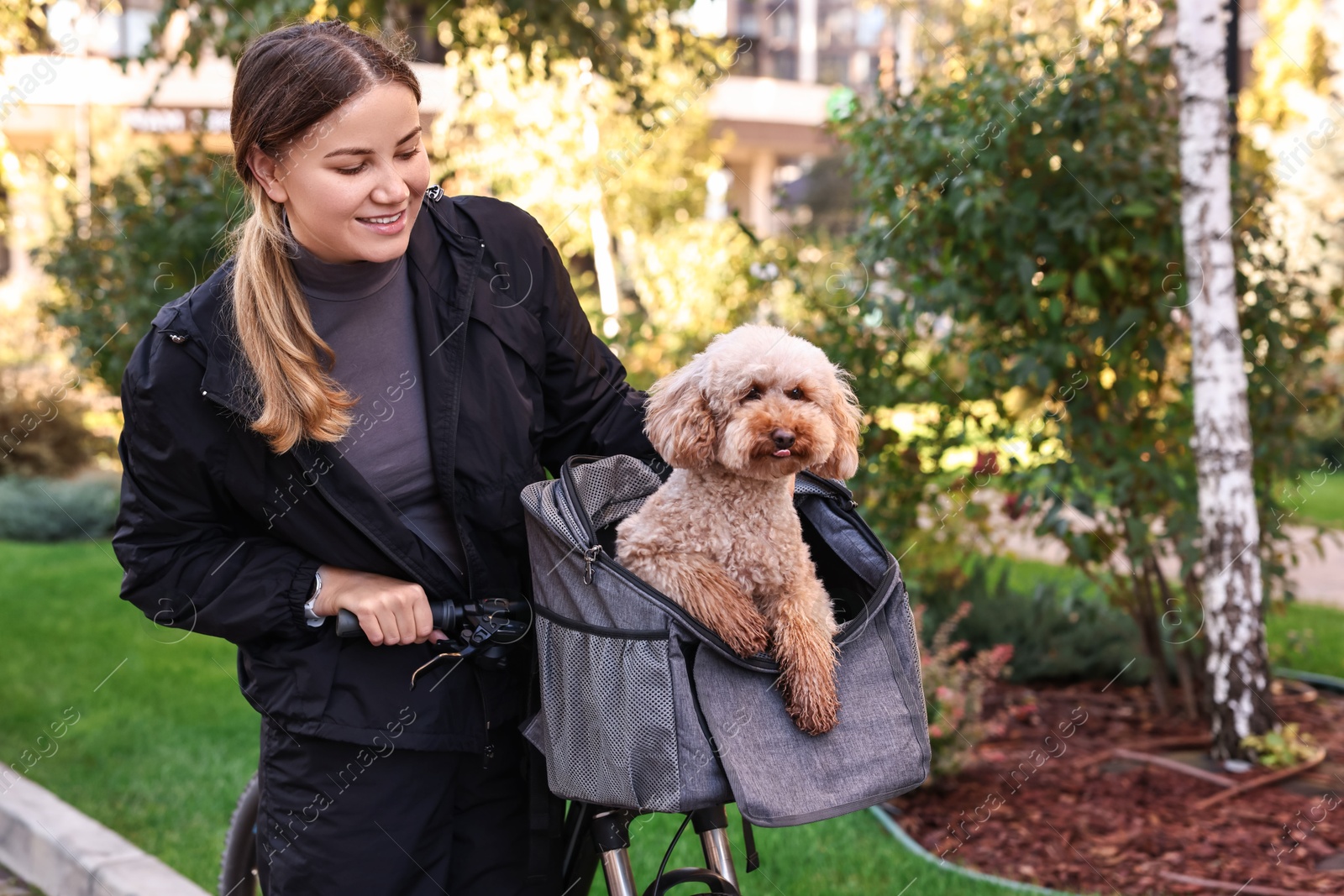 Photo of Woman with bicycle and cute Toy Poodle dog in pet carrier outdoors