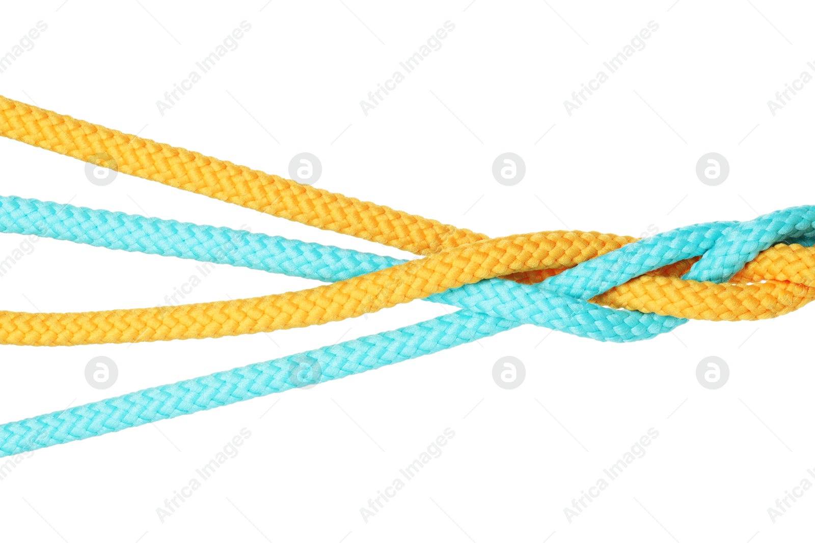 Photo of Colorful ropes tied together isolated on white. Unity concept