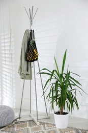 Photo of Macrame bag with fruits and jacket on clothing rack indoors