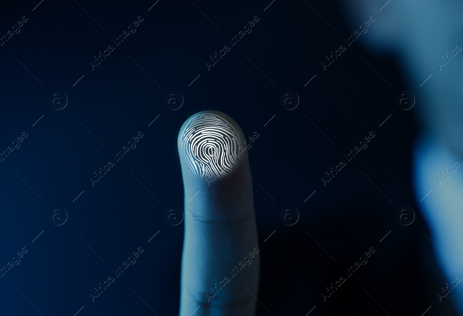 Image of Man pressing finger to surface showing friction ridges pattern, closeup. Scanning fingerprint