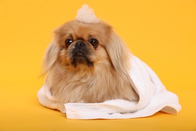 Photo of Cute Pekingese dog with towel and shampoo bubbles on yellow background. Pet hygiene