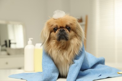 Photo of Cute Pekingese dog with towel and shampoo bubbles in bathroom. Pet hygiene