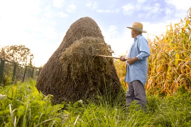 Photo of Senior man in straw hat pitching hay on farmland