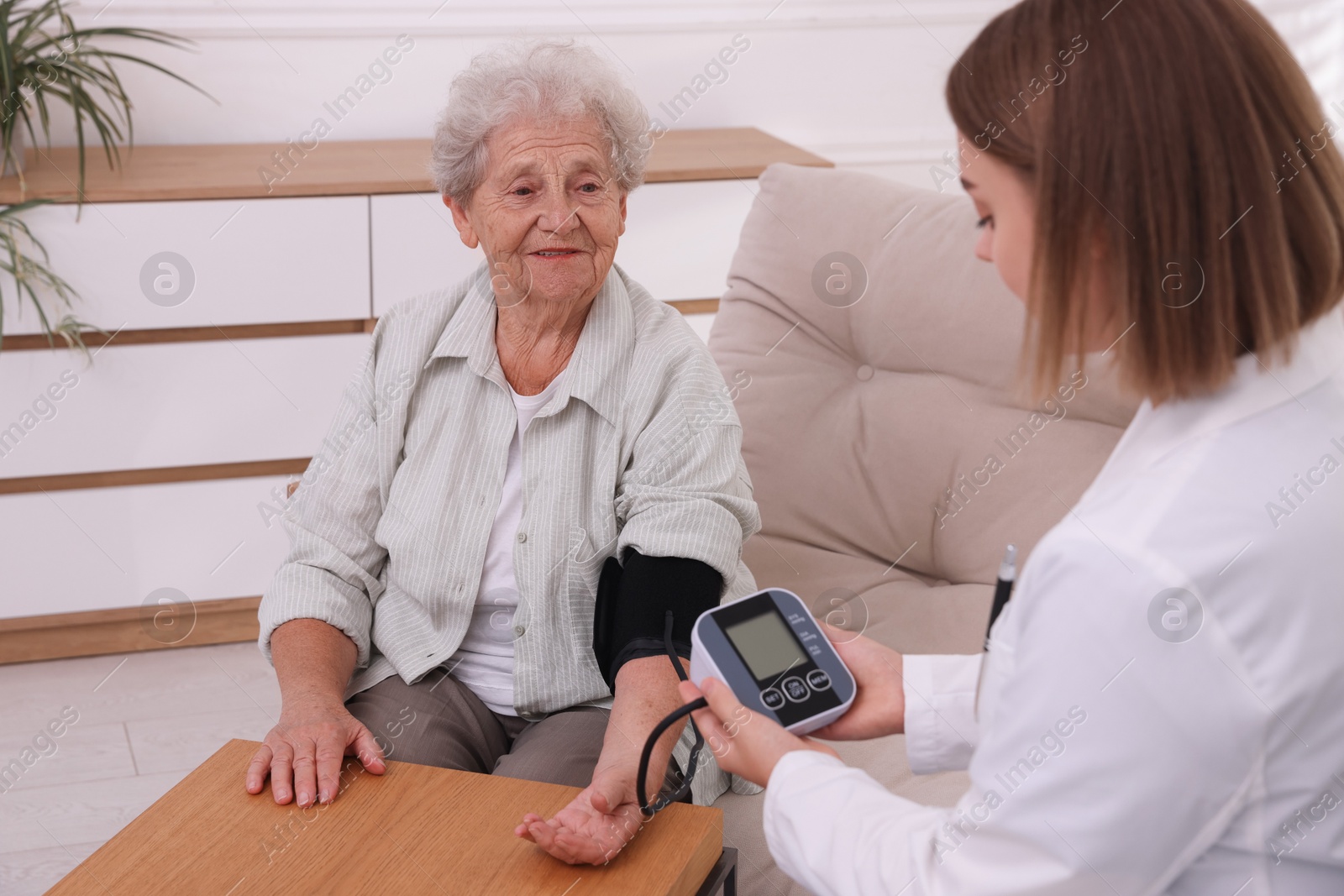 Photo of Doctor measuring patient's blood pressure at wooden table indoors