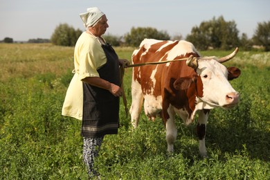 Photo of Senior woman with beautiful cow on pasture