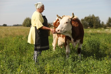 Photo of Senior woman with beautiful cow on pasture